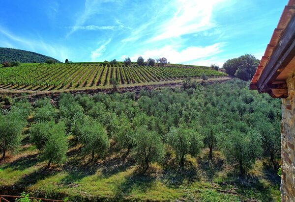 Casa Maria Luisa: Взгляды