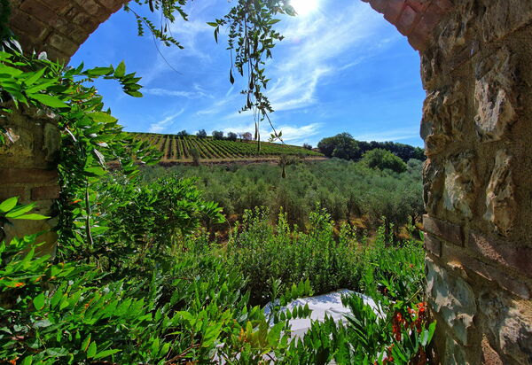 Casa Maria Luisa: Взгляды