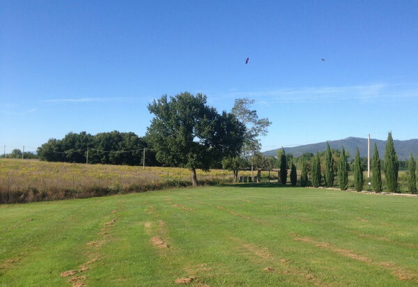 Casa Catia: Взгляды, Сад