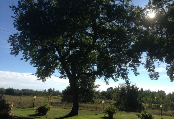 Casa Catia: Взгляды, Открытый