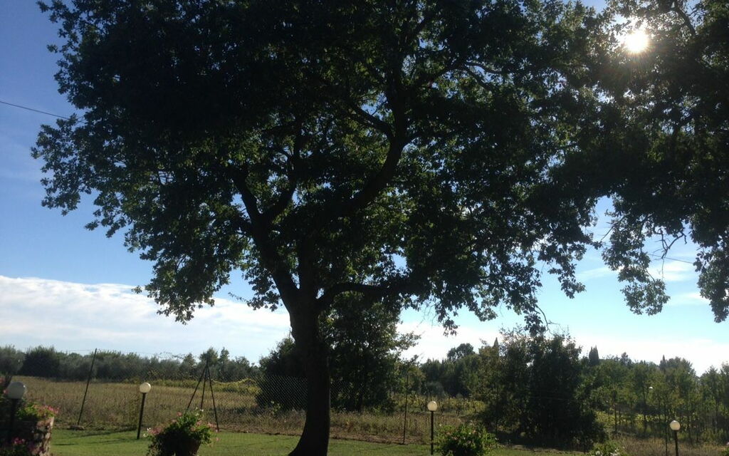 Casa Catia: Outdoor, Scenic View