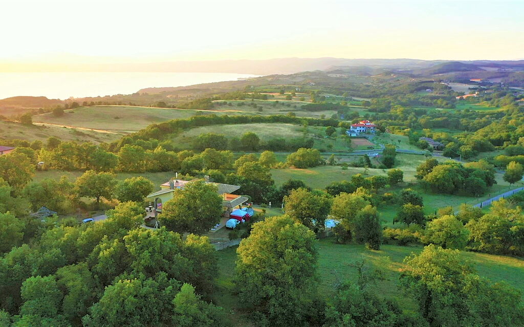 I Gigli Di Bolsena: Visninger
