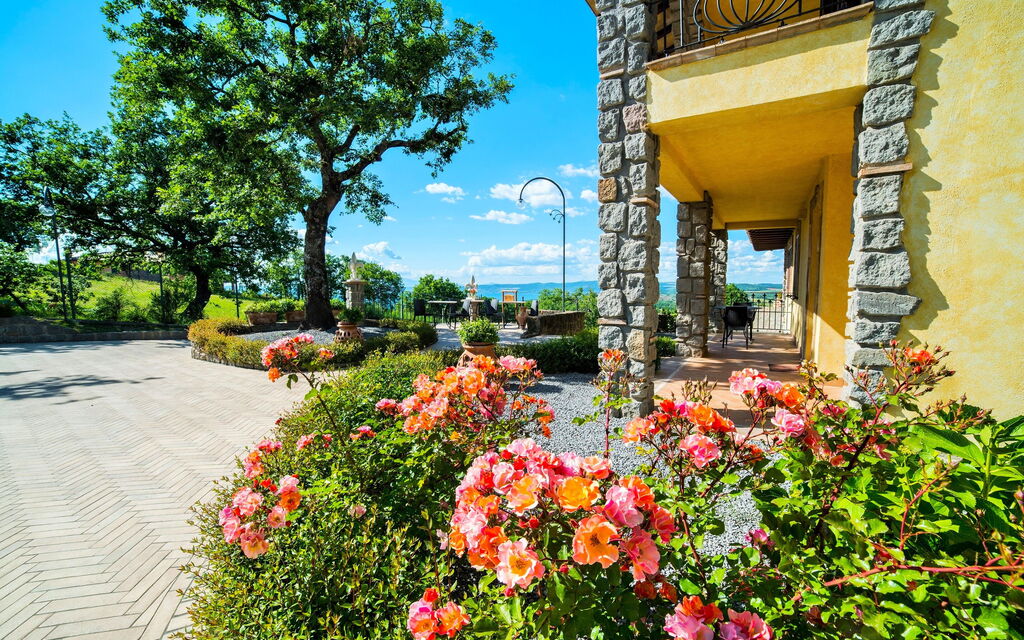 I Gigli Di Bolsena: Visninger