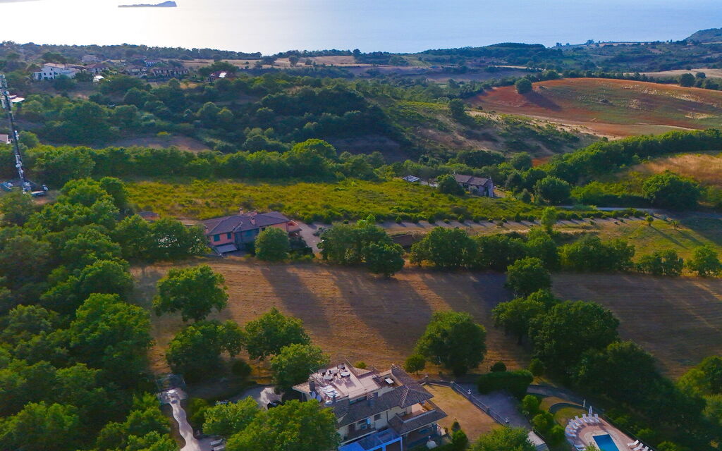 I Gigli Di Bolsena: Visninger