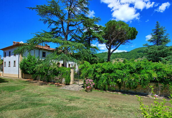 Villa Capolona: Draussen