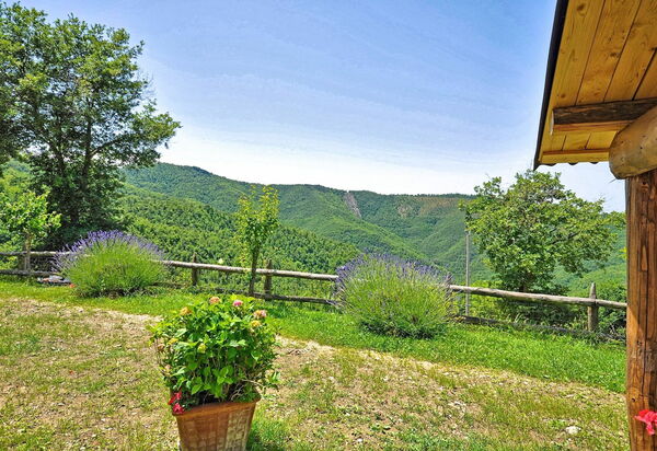 Villa Margherita Uno: Garten