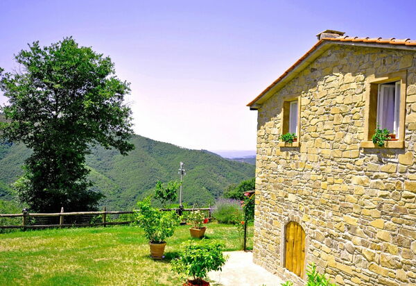 Villa Margherita Uno: Außen, Garten