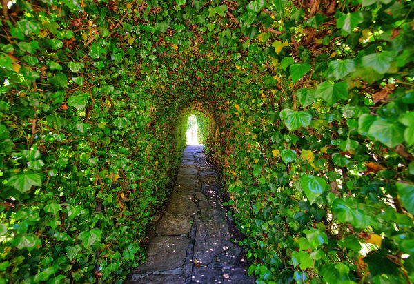 Villa Portole Uno: Garten