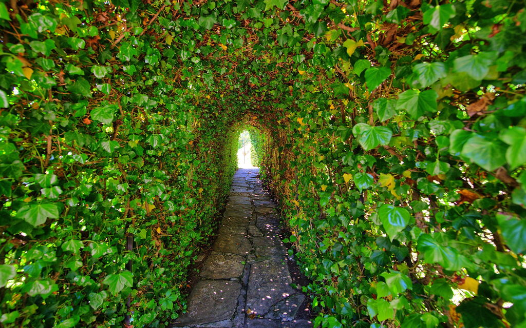 Villa Portole Uno: Garden