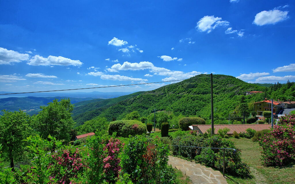 Villa Portole Due: Garden, Scenic View
