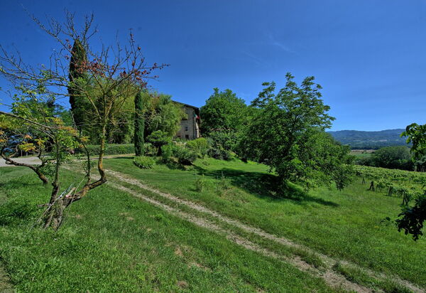 Casale Giotto: Garten