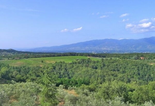 Villa Gaville: Взгляды