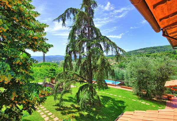 Villa Lorena: Garten