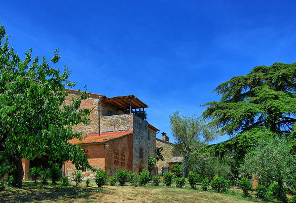 Casa Olivia: Draussen