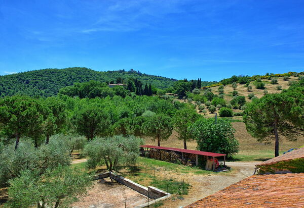 Casa Olivia: Ansichten