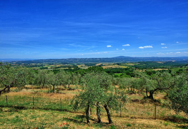 Casa Olivia: Ansichten