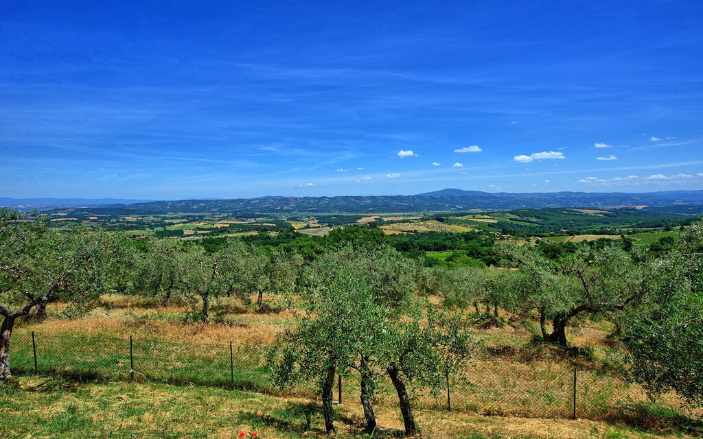 Casa Olivia: Vista Panoramica