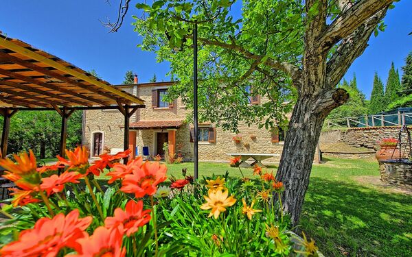 Villa Luciano: Garden