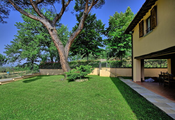 Villa Morandi: Garten