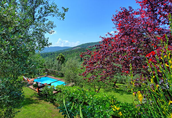 La Ruota: Ansichten, Draussen, Schwimmbad