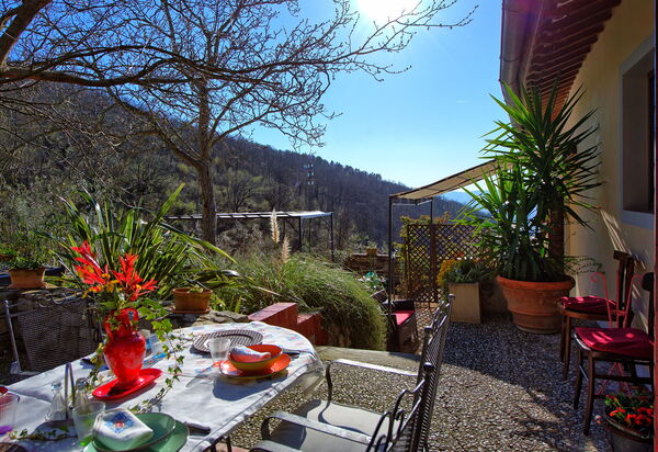 Villa Tenuta Lonciano: Draussen, Garten