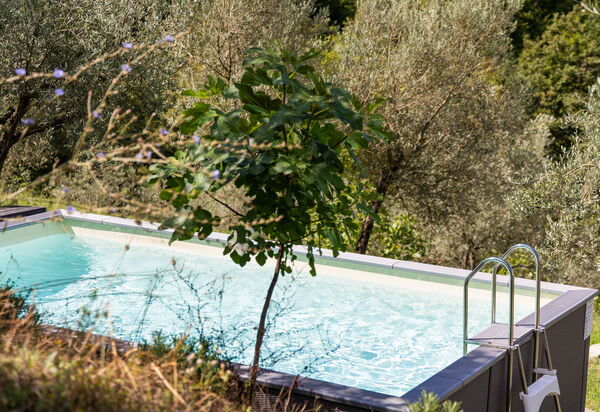 Villa Tenuta Lonciano: Draussen, Garten, Schwimmbad