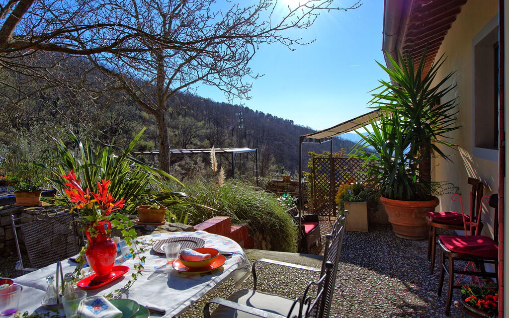 Villa Tenuta Lonciano: Garden, Outdoor