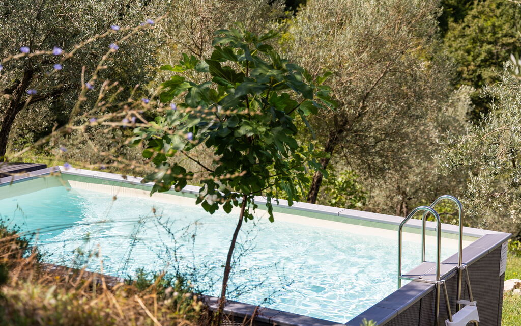 Villa Tenuta Lonciano: Garden, Outdoor, Pool