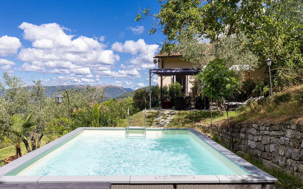Villa Tenuta Lonciano: Garden, Outdoor, Pool