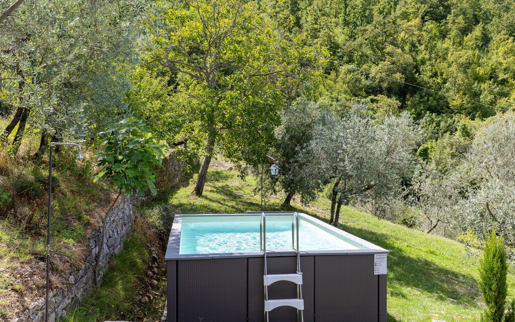 Villa Tenuta Lonciano: Garden, Outdoor, Pool