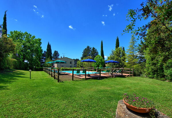 Villa Picchio: Draussen, Garten, Schwimmbad