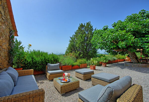 Villa Uccellaia: Draussen, Garten