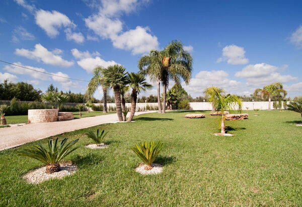 Meadow Luxury Villa: Extérieur, Jardin