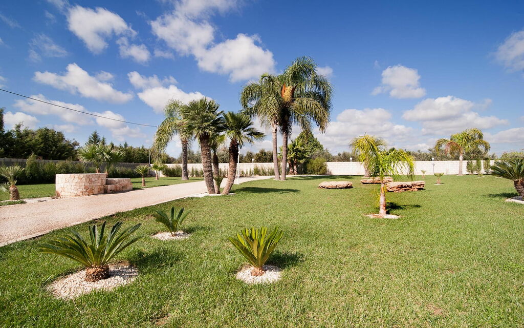 Meadow Luxury Villa: Draussen, Garten