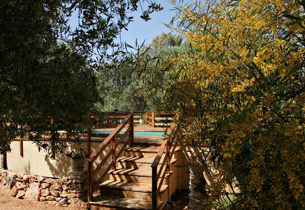 Villa Serena Maria: Buitenshuis, Tuin