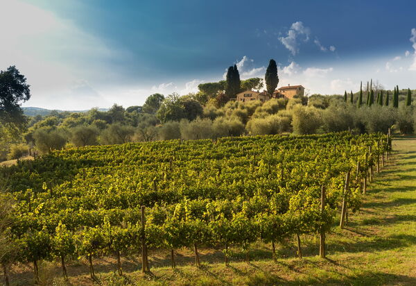 Villa Poggiospinoso: Взгляды