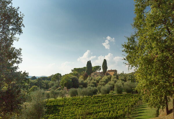 Villa Poggiospinoso: Взгляды