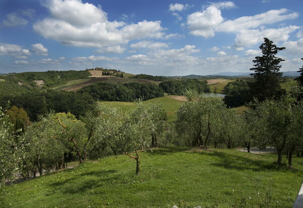 Tenuta Cambiano: Scenic View