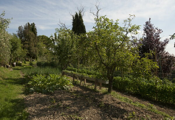 Tenuta Cambiano: Scenic View