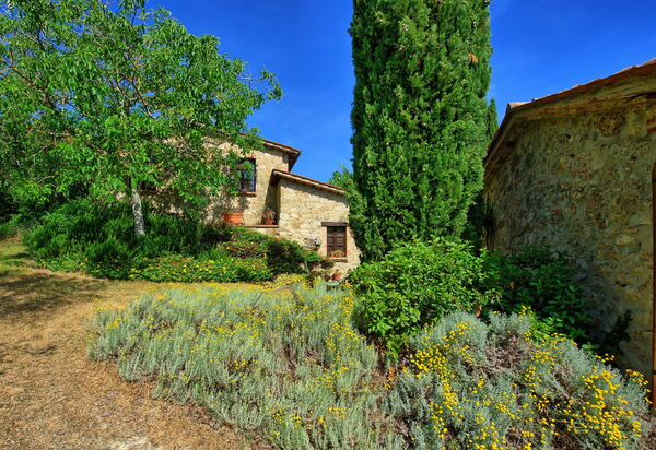 Villa Sarteano: Außen, Garten