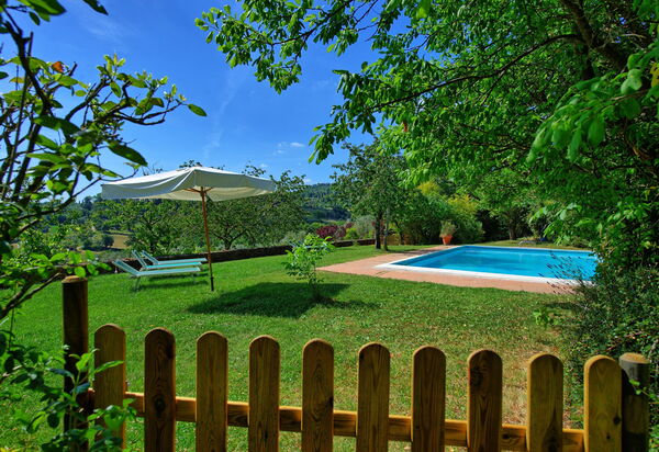 Villa Sarteano: Garten, Schwimmbad