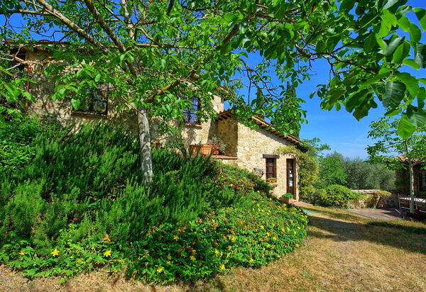 Villa Sarteano: Garten