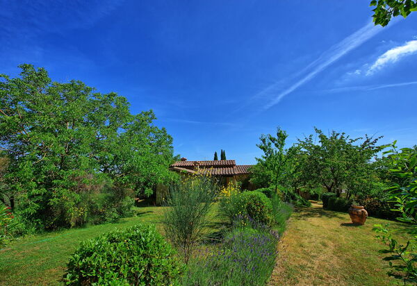 Villa Sarteano: Garten