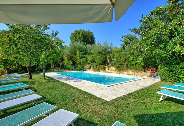 Villa Sarteano: Schwimmbad