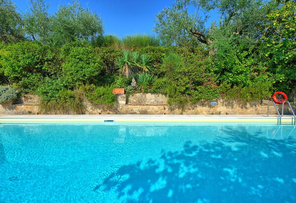 Villa Sarteano: Schwimmbad