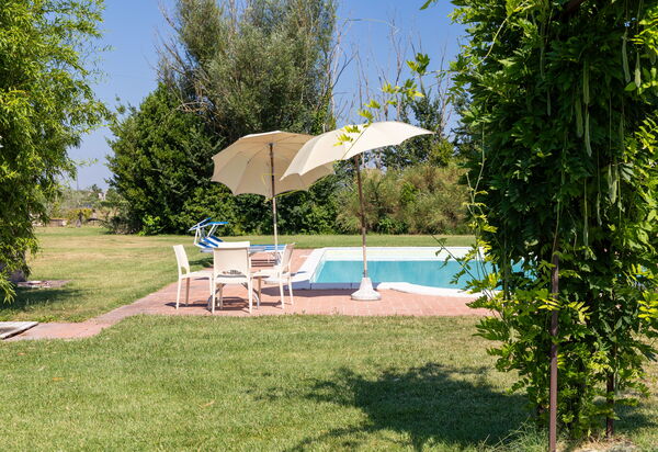 Villa Assisi: Außen, Draussen, Garten, Schwimmbad