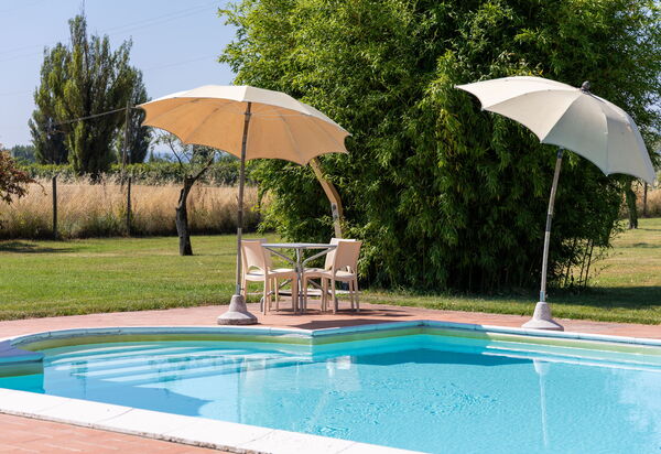 Villa Assisi: Außen, Draussen, Garten, Schwimmbad