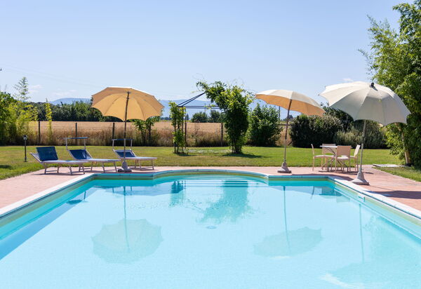 Villa Assisi: Außen, Draussen, Garten, Schwimmbad