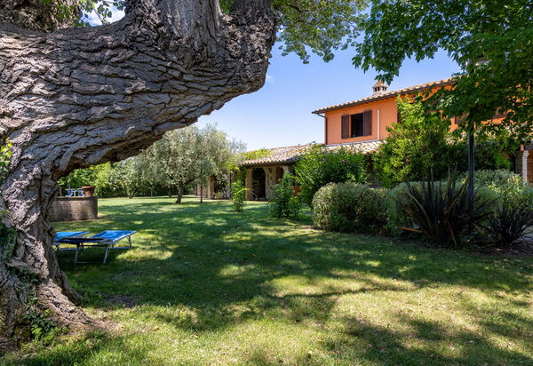 Villa Reale: Außen, Draussen, Garten