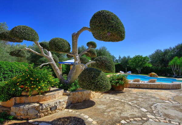 Lamia Santo Arcangelo: Garten